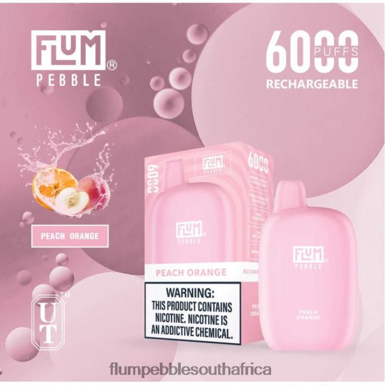 Flum Float Flavors - FLUM PEBBLES 6000 PUFFS Peach Icy NHF6R60