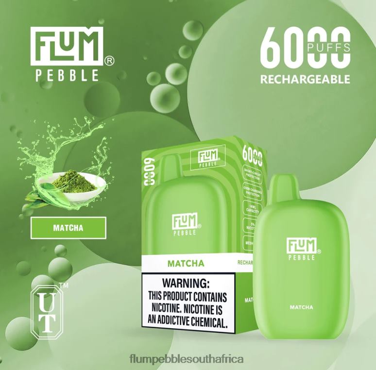 Flum Pebbles Flavors - FLUM PEBBLES 6000 PUFFS Matcha NHF6R54