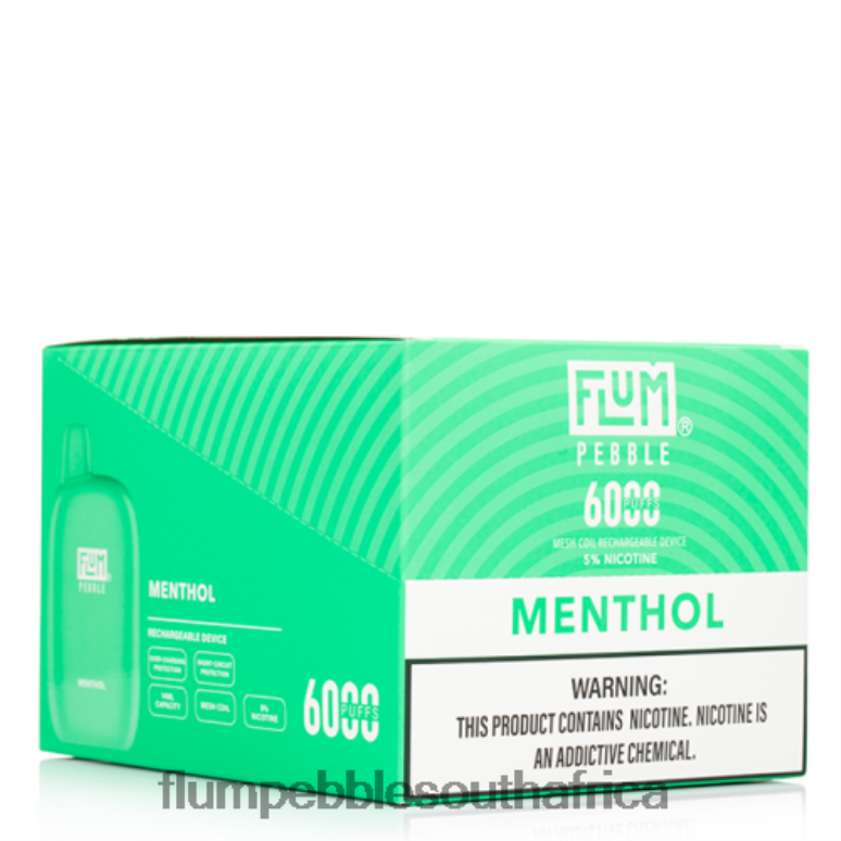 Flum Pebbles Flavors List - FLUM PEBBLES 6000 PUFFS 10 PACKS Menthol NHF6R58