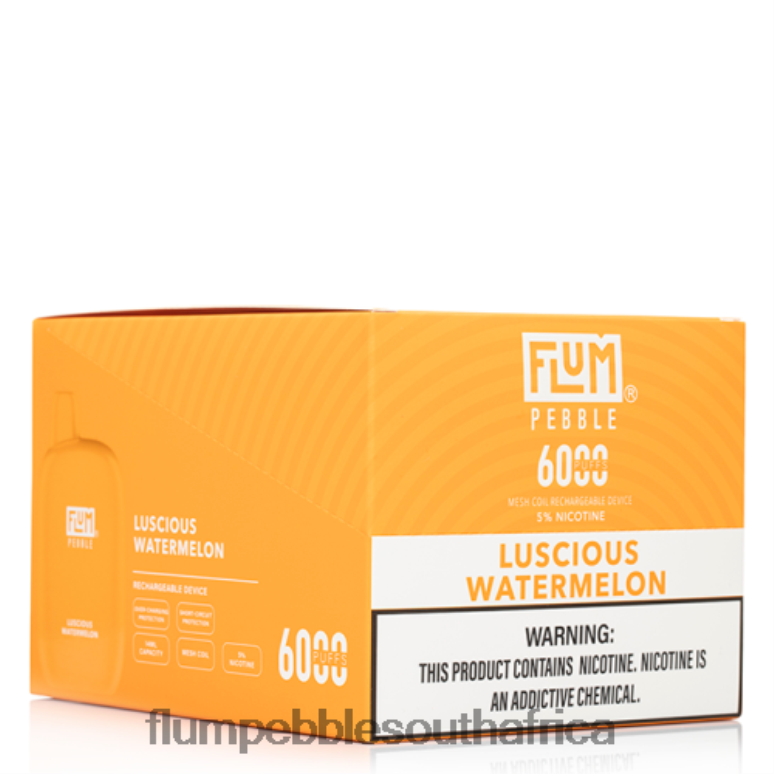 Flum Pebbles South Africa - FLUM PEBBLES 6000 PUFFS 10 PACKS Luscious Watermelon NHF6R51