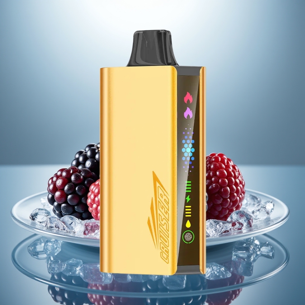 JNR Cruiser 12000 Puffs No-Charge 25ml 1.2ohm Dual Mesh Blackberry Ice