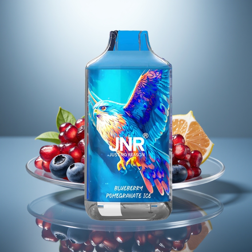 JNR Falcon 16000 Puffs Blueberry Pomegranate Ice 850mAh 22ml Dual Mesh