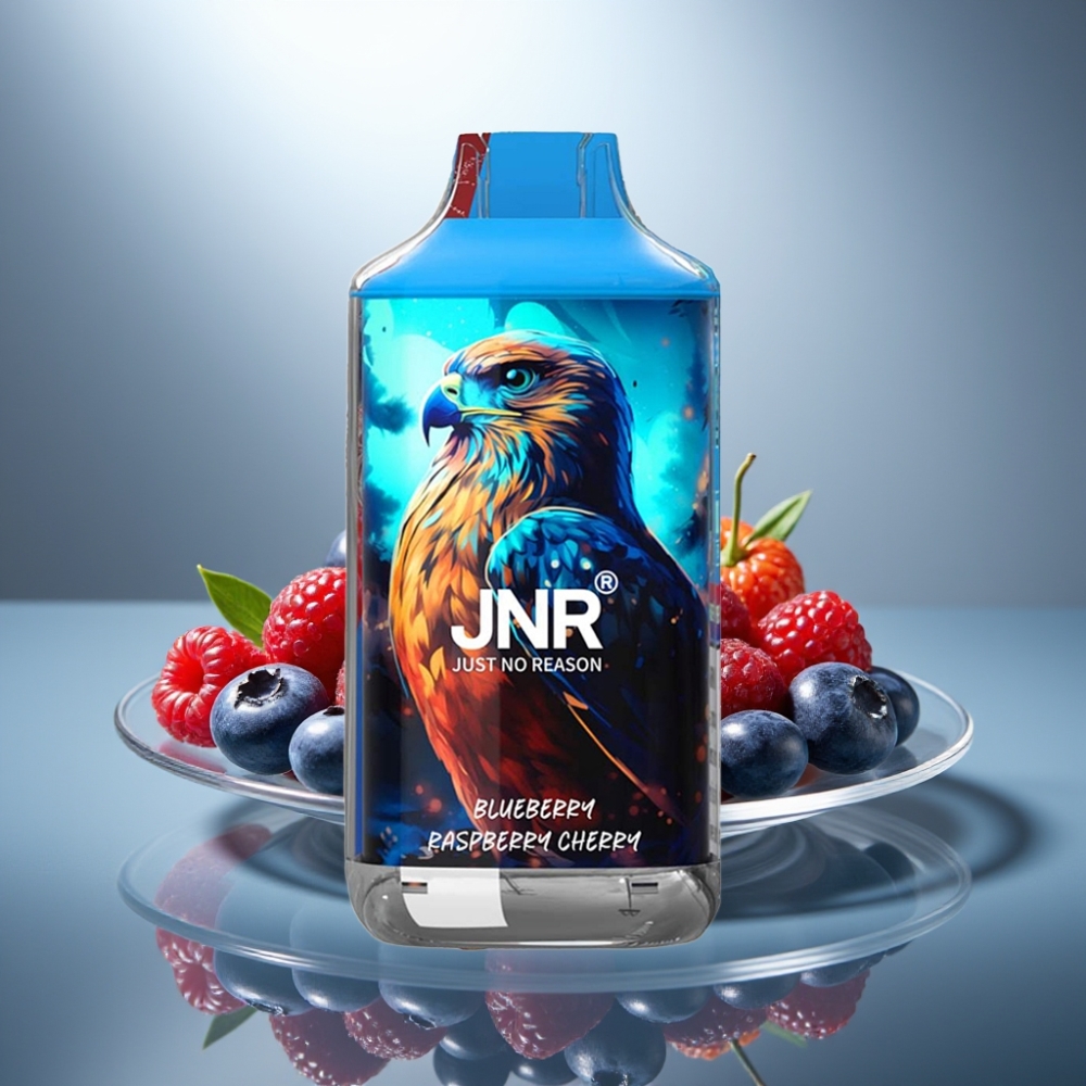 JNR Falcon 16000 Puffs Blueberry Raspberry Cherry 850mAh 22ml Type C LED