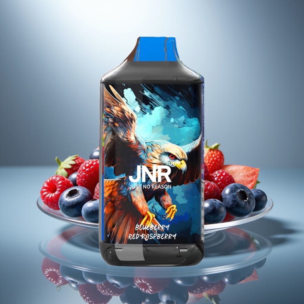 JNR Falcon 16000 Puffs Blueberry Red Raspberry 850mAh 22ml Dual Mesh