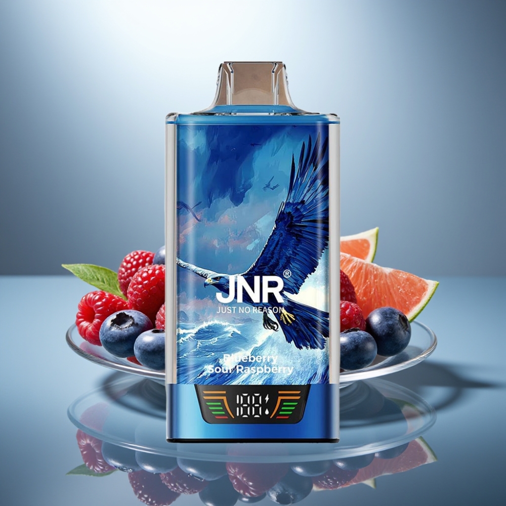 JNR Falcon Pro 28000 Disposable Vape Blueberry Sour Raspberry 30mL 5% USB-C