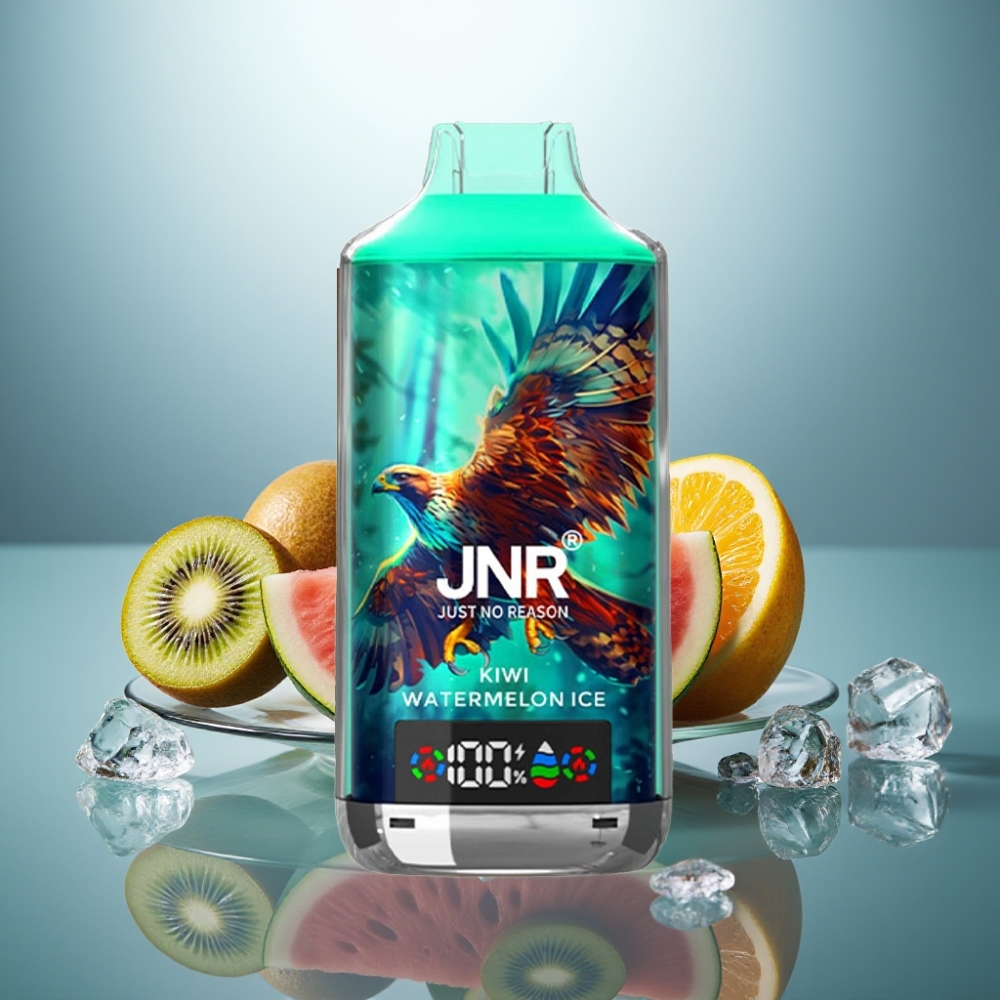 JNR Falcon X 18000 Puffs 24ml Dual Mesh Coil Kiwi Watermelon ice