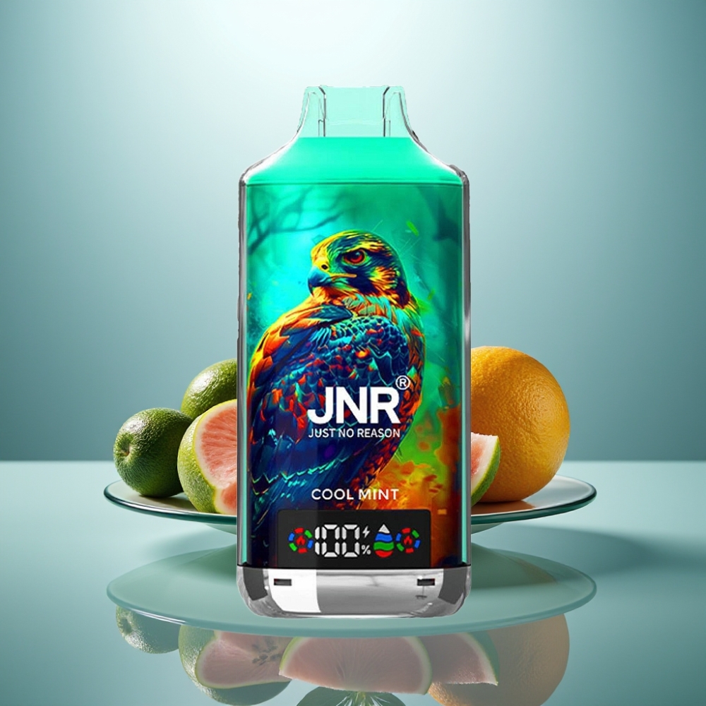 JNR Falcon X 18000 Puffs 750mAh 24ml Cool Mint Dual Mesh Coil Type-C