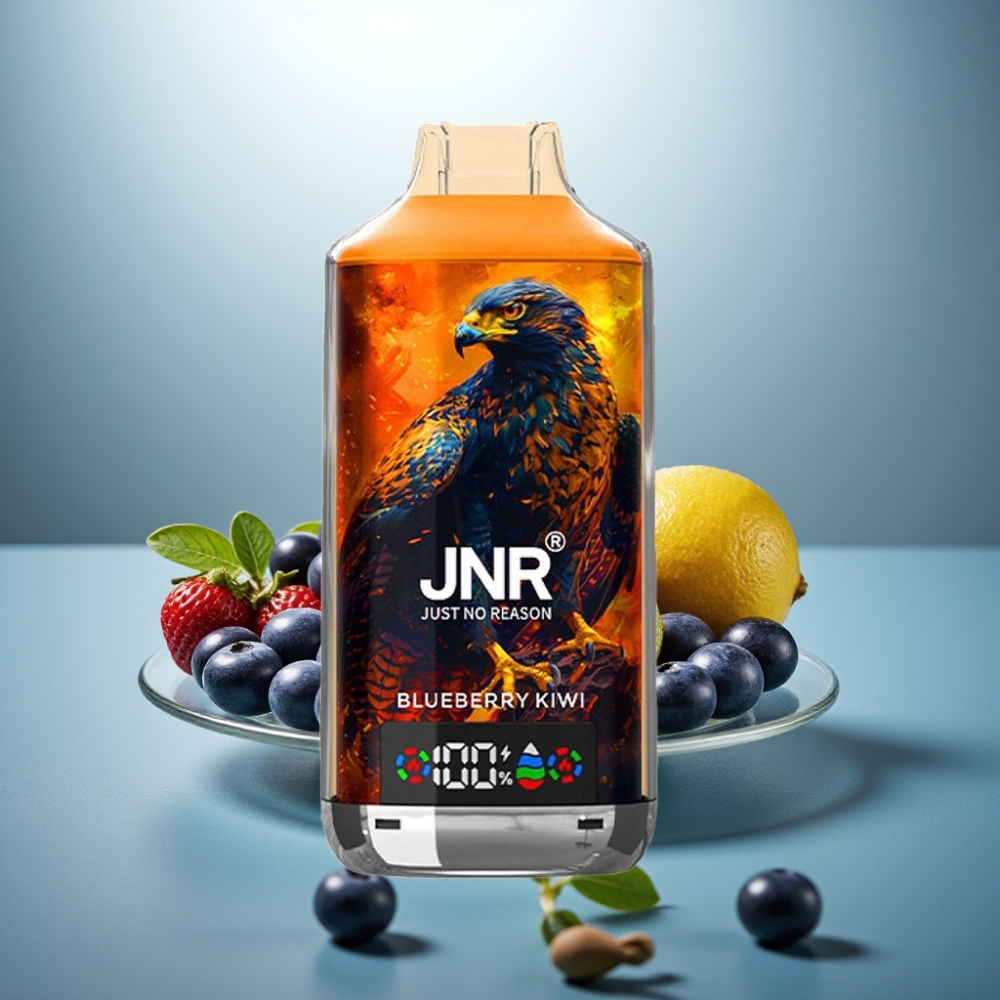 JNR Falcon X 18000 Puffs Blueberry Kiwi 24ml 750mAh Dual Mesh Coil Type-C