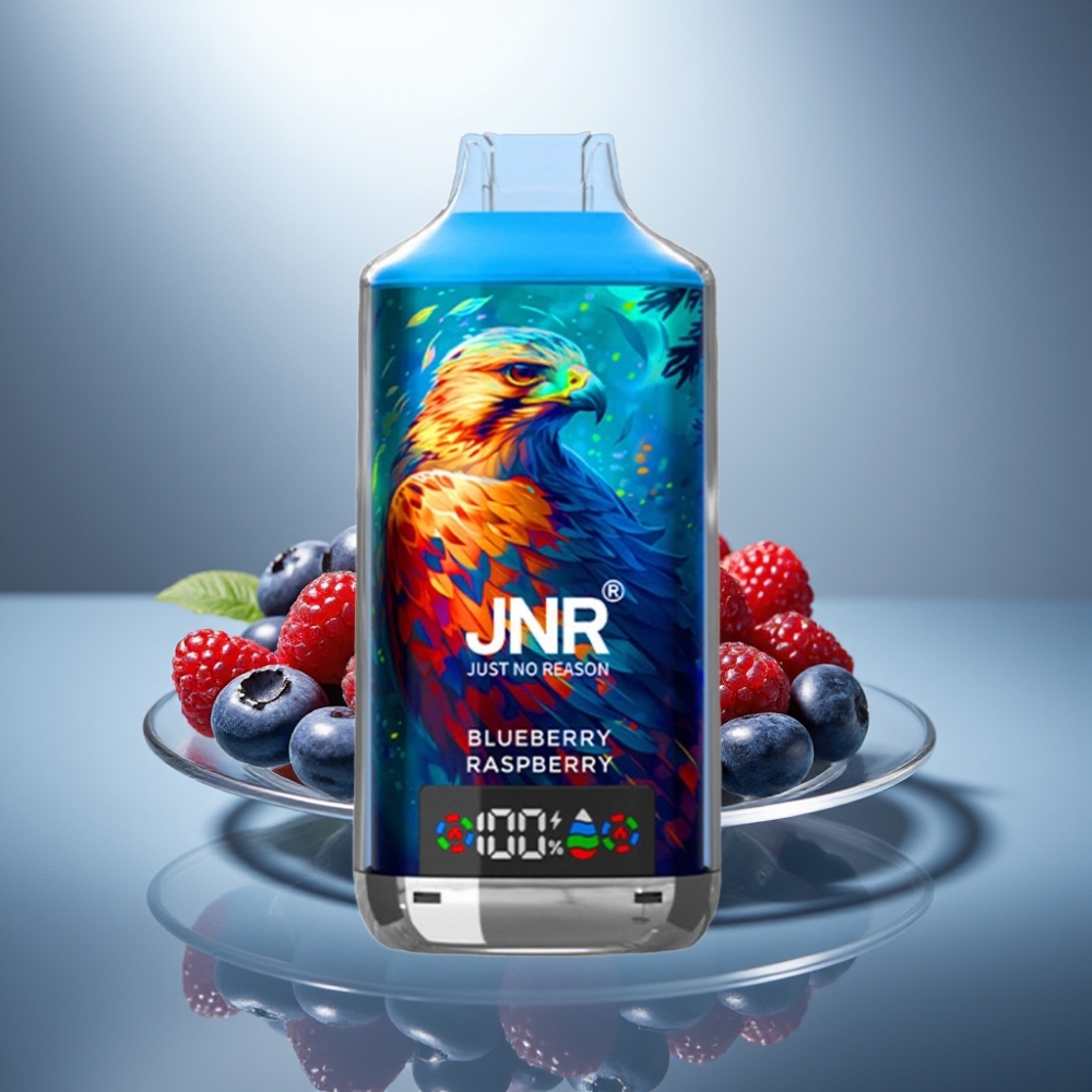 JNR Falcon X 18000 Puffs Blueberry Raspberry 750mAh 24ml Dual Mesh Coil