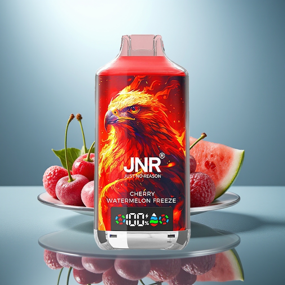 JNR Falcon X 18000 Puffs Cherry Watermelon Freeze 24ml Dual Mesh Type-C