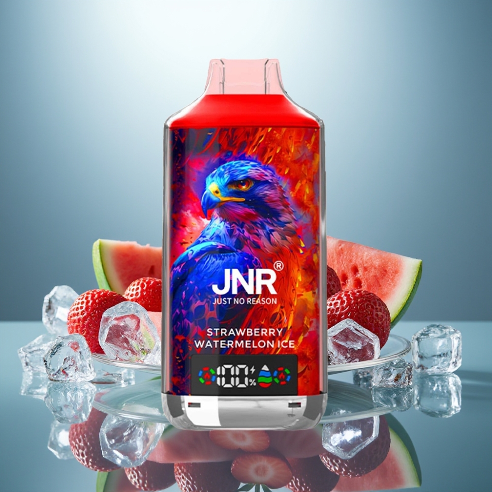 JNR Falcon X 18000 Puffs Strawberry Watermelon Ice 24ml 750mAh Type-C