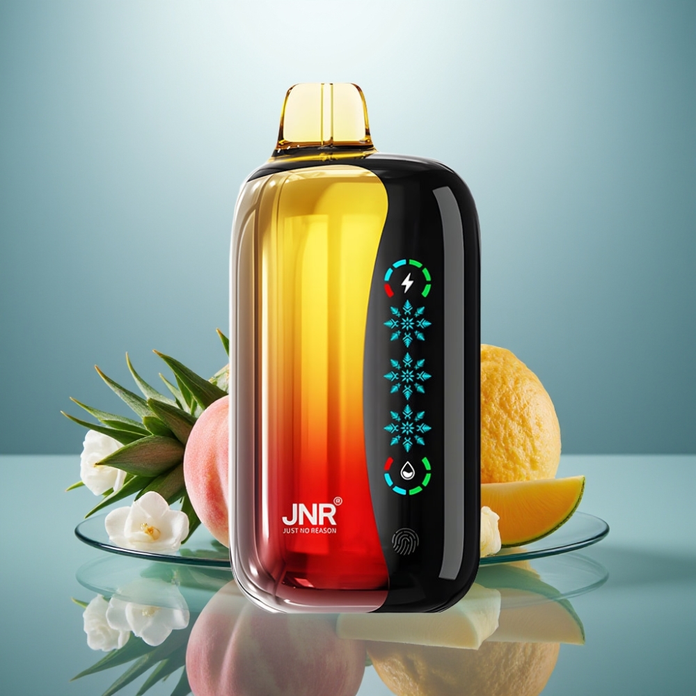 JNR Flex Ice 21000 Puffs Disposable Vape Peach Mango Pineapple 26ml 1.2 Ohm Dual Mesh