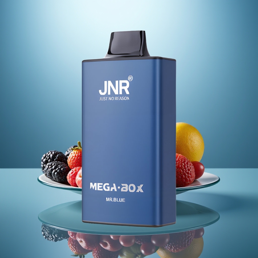 JNR Mega Box 25000 Puffs 30ml 850mAh Dual Mesh Mr Blue