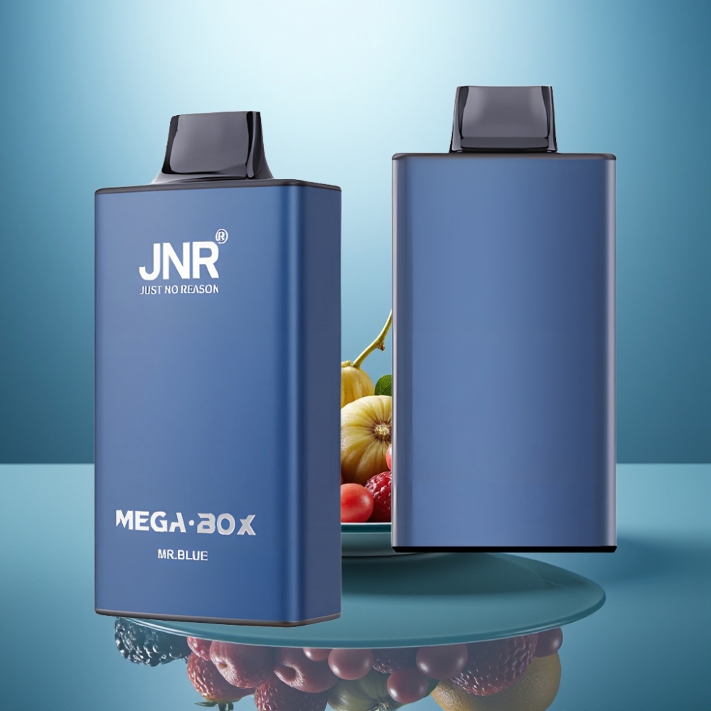 JNR Mega Box 25000 Puffs 30ml 850mAh Dual Mesh Mr Blue