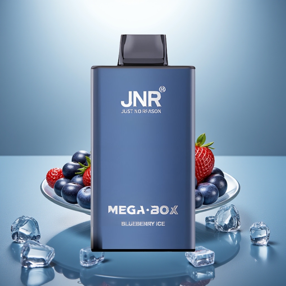 JNR Mega Box 25000 Puffs Disposable Vape Blueberry Ice 30ml 850mAh Type-C
