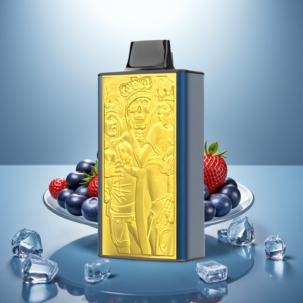 JNR Mega Box 25000 Puffs Disposable Vape Blueberry Ice 30ml 850mAh Type-C