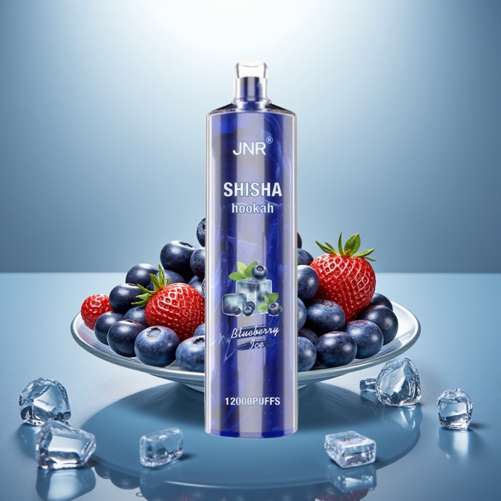 JNR Shisha Hookah 12000 Puffs Blueberry Ice 24ml 750mAh Type-C