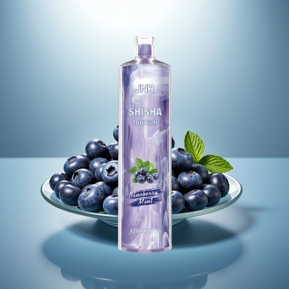 JNR Shisha Hookah 12000 Puffs Blueberry Mint 24ml 750mAh Type-C