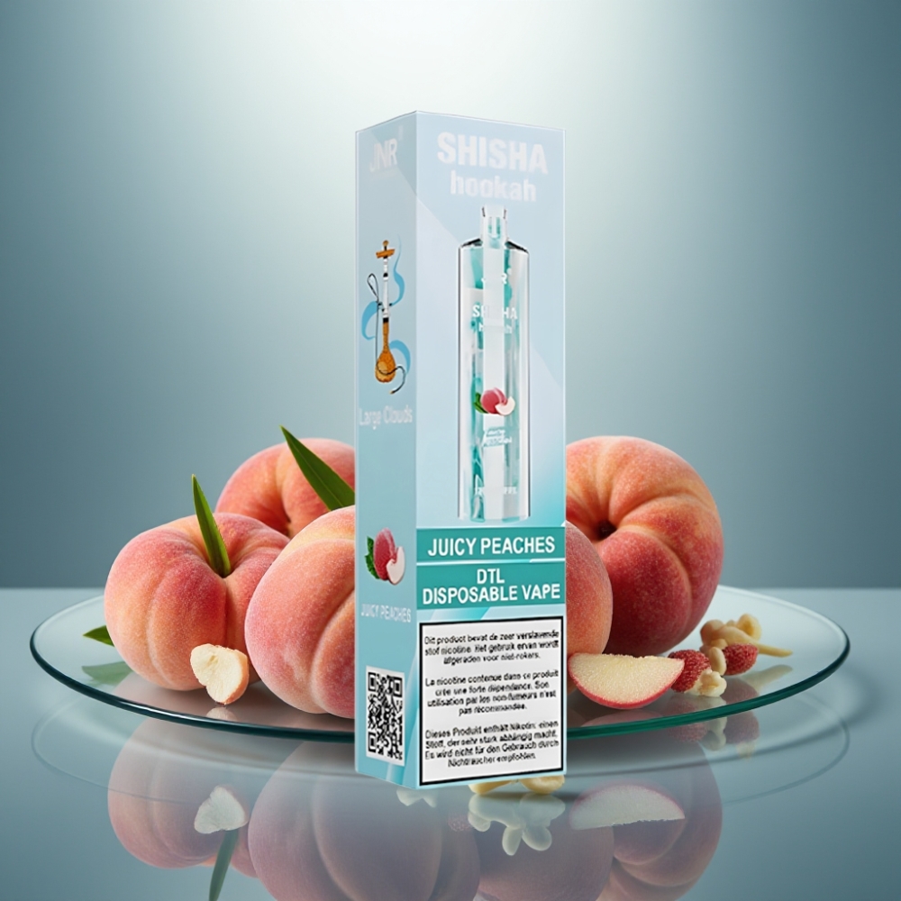 JNR Shisha Hookah 12000 Puffs Juicy Peaches 24ml 750mAh Type-C
