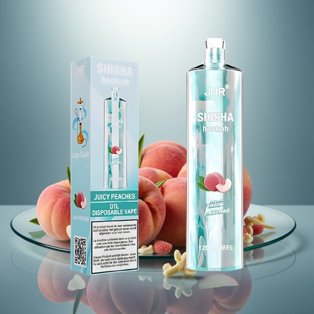 JNR Shisha Hookah 12000 Puffs Juicy Peaches 24ml 750mAh Type-C