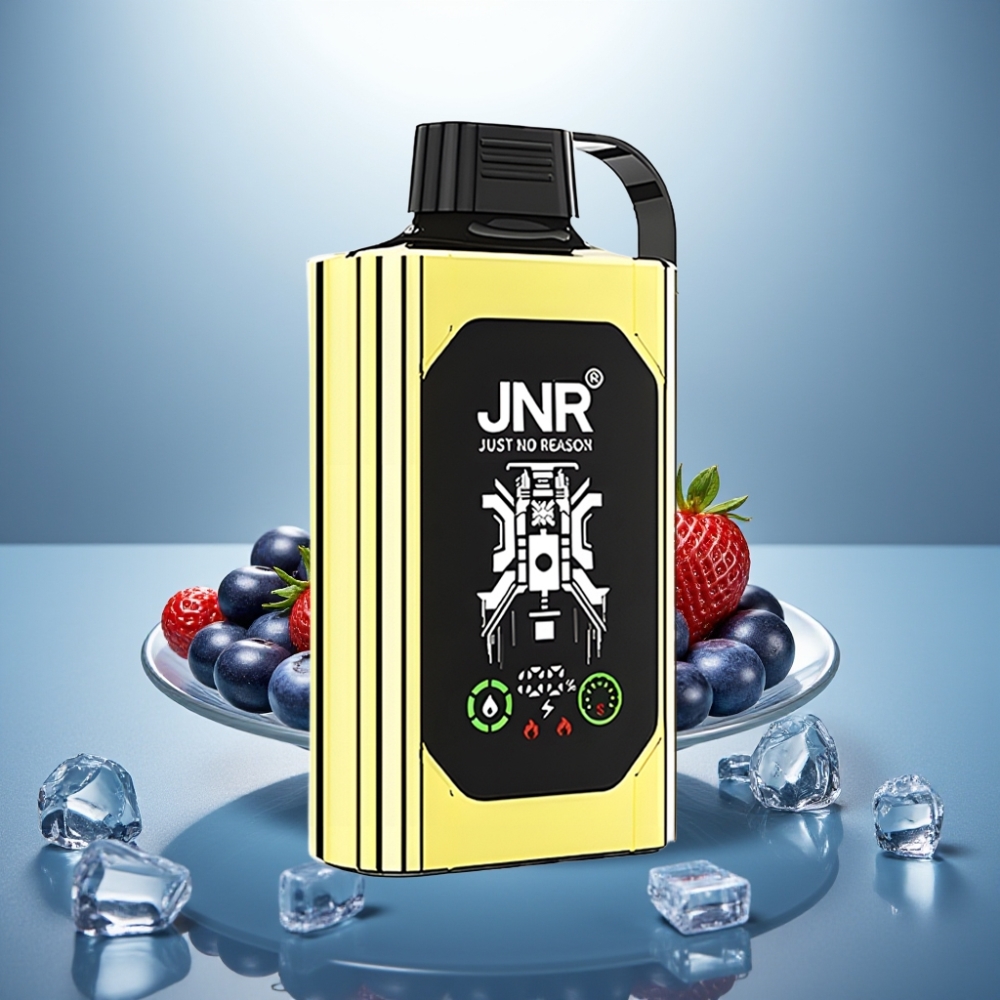 JNR Shisha Hookah Box 20500 Puffs Blueberry Ice 25ml Dual Mesh Coil Type-C