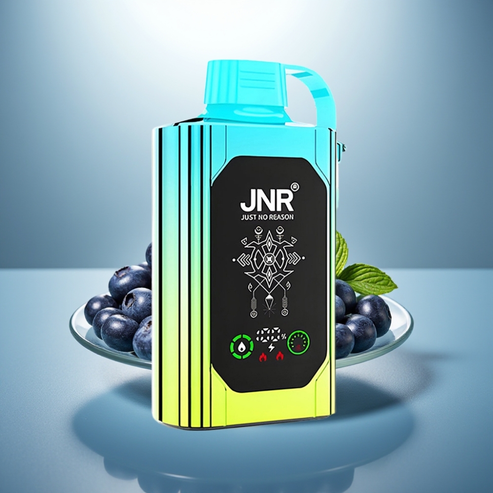 JNR Shisha Hookah Box 20500 Puffs Blueberry Mint 25ml Dual Mesh Coil Type-C
