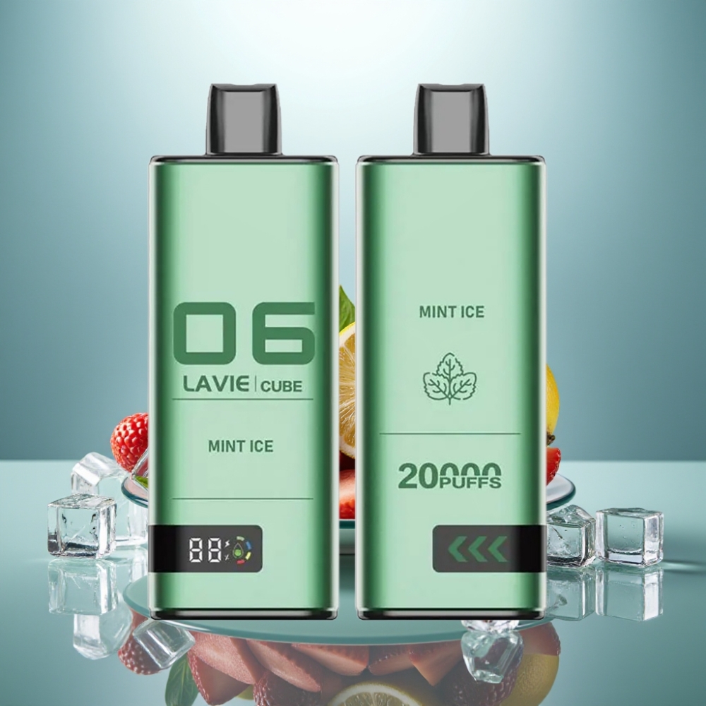 Lavie Cube 20000 Puffs Disposable Vape Mint Ice 28mL 5% Type C